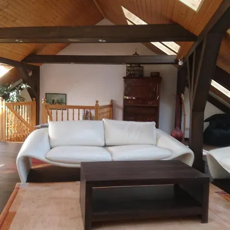 Penthouse Himmelreich großzügige Maisonette auf 152 qm mit Klima&Kamin Senftenberg Exterior foto
